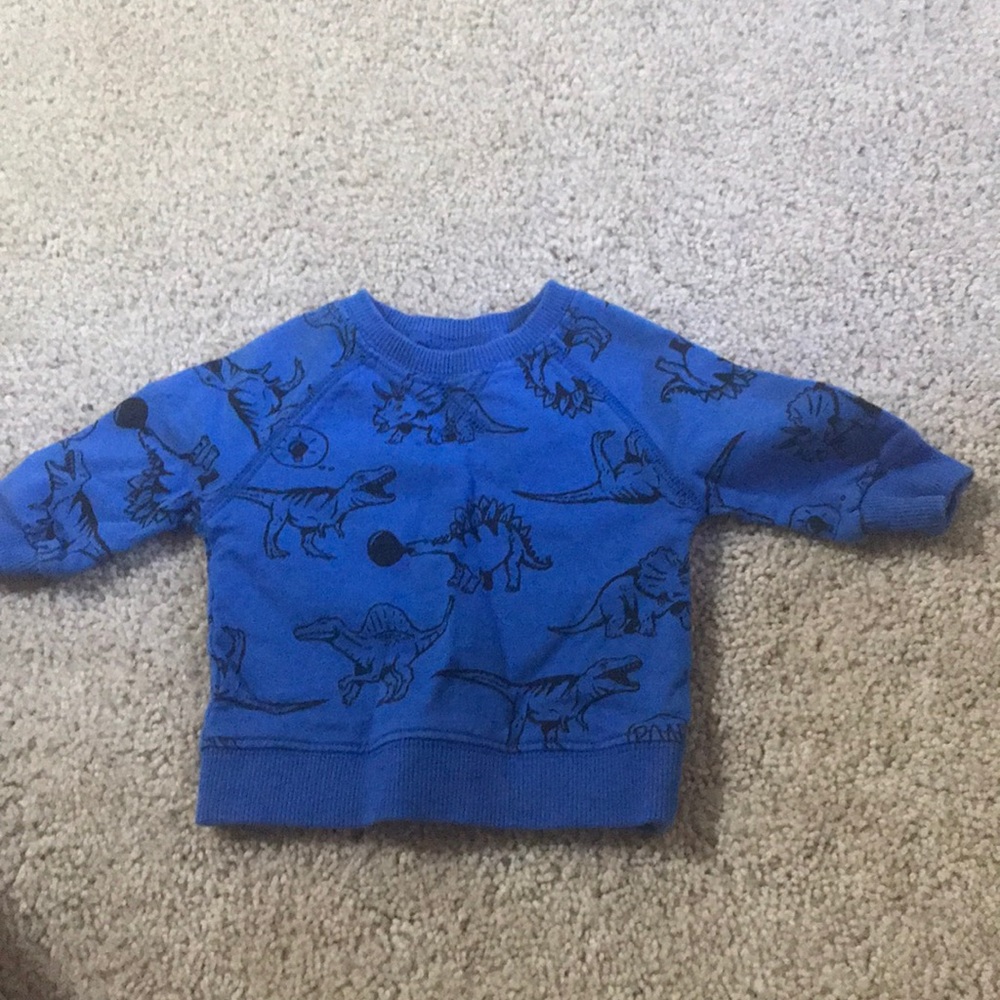 Carters dinosaur sweater!